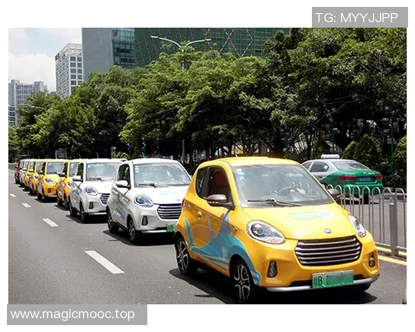 灵活便捷的汽车租赁服务助力您的出行需求，让旅行更加轻松无忧