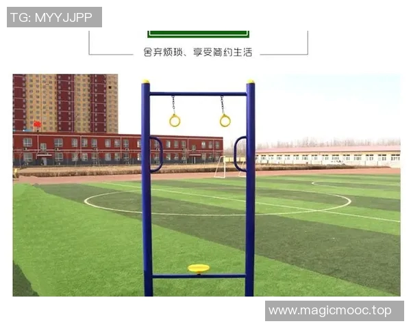 转体健身器材:适合转体练习的健身器材类型与功能说明 转体健身器材:适合转体练习的健身器材类型与功能说明