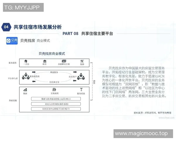 上海极限运动队状态全景解析及各队表现对比分析 上海极限运动队状态全景解析及各队表现对比分析